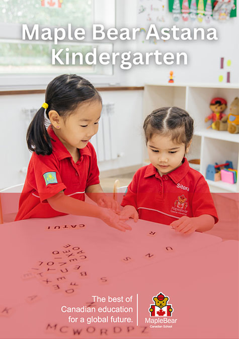 Программа детского сада